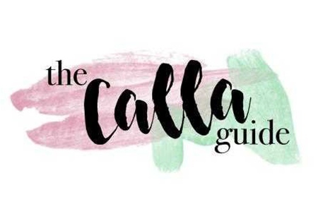 Imagem de Projetos que recebem apoio do NEI Logo The Calla Guide